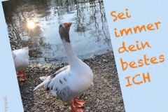 Spruchkarten-10