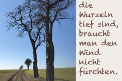 Spruchkarten-11