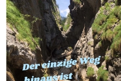 Spruchkarten-12