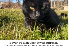 Spruchkarten-15