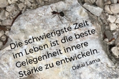 Spruchkarten-18