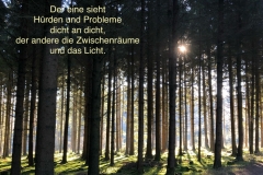 Spruchkarten-5