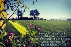 Spruchkarten-8